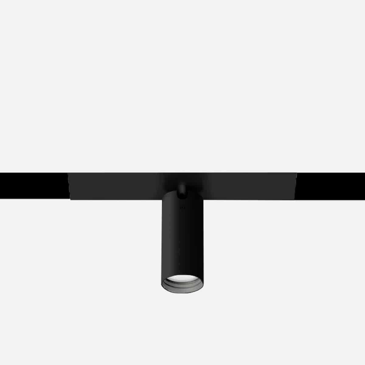 File 2 sistema - Spot Focus 55S, modulo