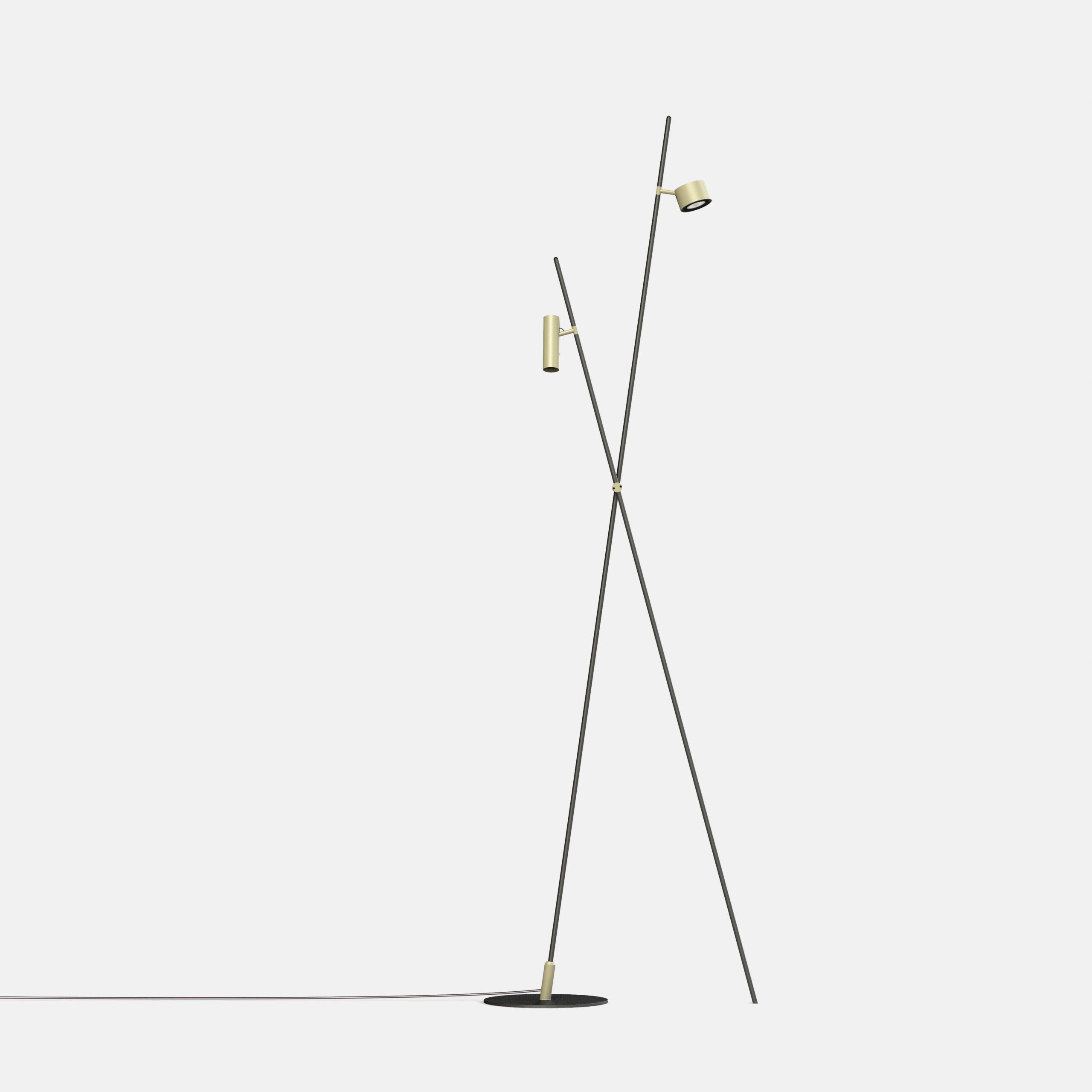 IFerrosi doppio palo