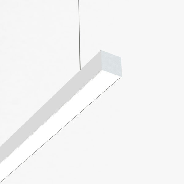 File 30 Sospensione Monoemissione